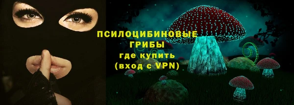 кокс Арсеньев