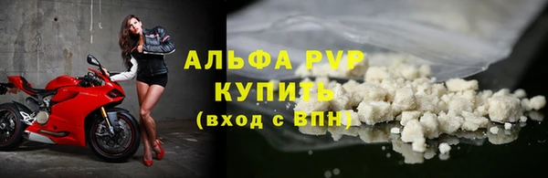 стафф Аркадак