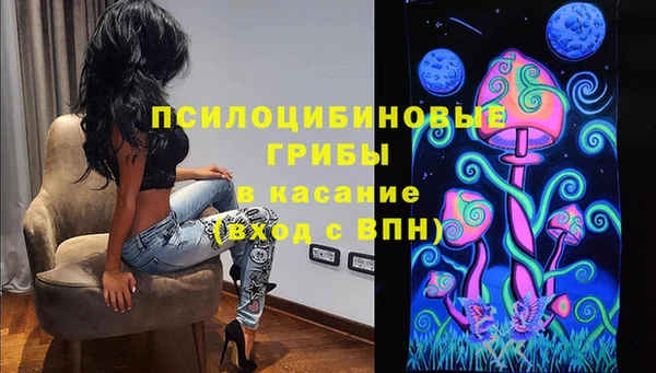 кокс Арсеньев