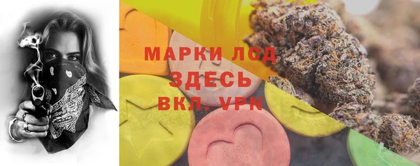 стафф Аркадак