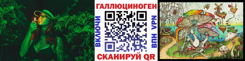 магазин продажи наркотиков  Сасово  Галлюциногенные грибы GOLDEN TEACHER 